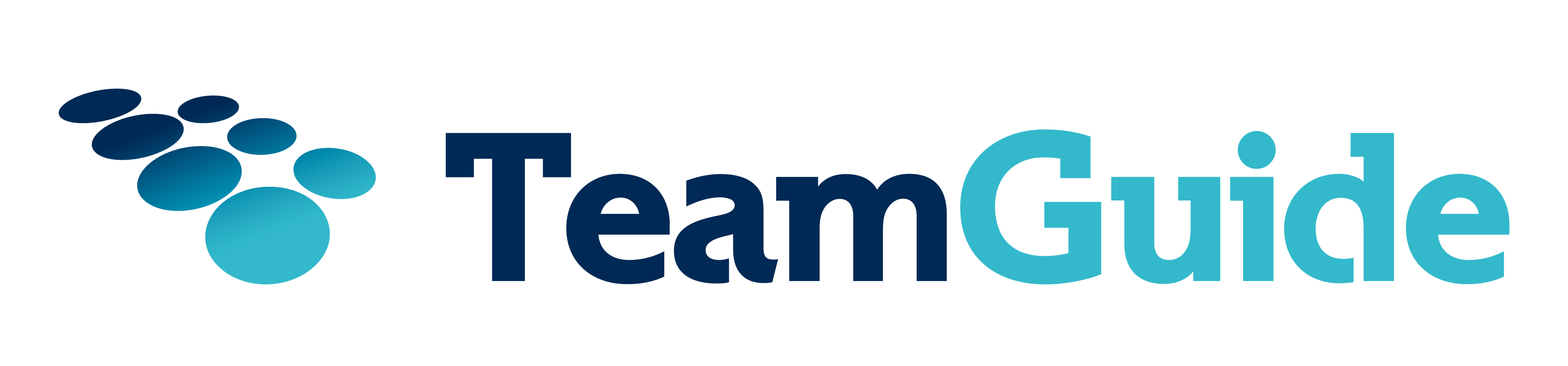 TeamGuide